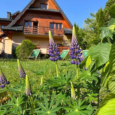 Apartament Pod Rożkami Cisna Zewnętrze zdjęcie